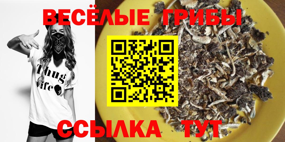 Псилоцибиновые грибы MAGIC MUSHROOMS Лосино-Петровский